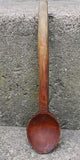 Hand Carved Bowl Spoon Spring Gathering