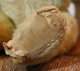 Alpha Farnell English Mohair Articulated Bear