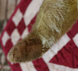 Alpha Farnell English Mohair Articulated Bear