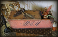 Valuable Box Salmon Paint Monogram Nice