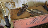 Valuable Box Salmon Paint Monogram Nice