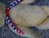 Chad Valley English Bear Available for Adoption