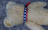 Chad Valley English Bear Available for Adoption