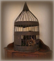 Bird Cage Tinsmith Made with Parakeet