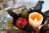 Compote Dressed in Autumn Attire