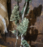 Child's Glazed Cupboard