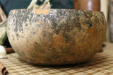 Gourd Bowl and Dipper Spoon Gathering Medium Size