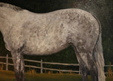 Oil Painting Depicting a Special Horse