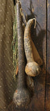 Long Handled Dipper Gourds Lit Autumn Flowers