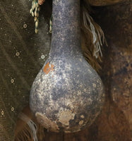 Long Handled Dipper Gourds Lit Autumn Flowers