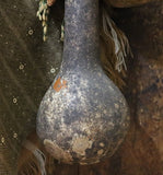 Long Handled Dipper Gourds Lit Autumn Flowers