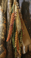 Long Handled Dipper Gourds Lit Autumn Flowers