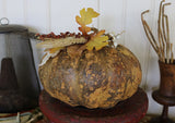 Pumpkin Gourd Delightful Earth Tones