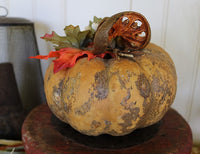 Pumpkin Gourd Delightful Autumn Red