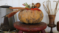 Pumpkin Gourd Delightful Autumn Red