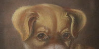 Puppy Charcoal Drawing Lemon Gold Frame 19th Century