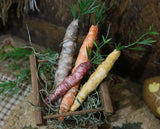 German Rabbit Candy Container Pulling Cart Easter Gathering