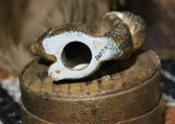 Pillar Candle Autumn Squirrel Lit