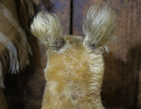 Steiff Squirrel Possy