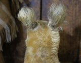 Steiff Squirrel Possy