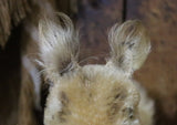Steiff Squirrel Possy