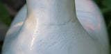 1976 PA Folk Art Swan Decoy – Signed Geo Dohner (Stick-Neck Tundra)