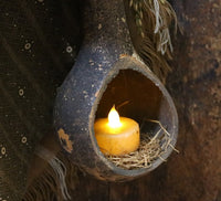 Long Handled Dipper Gourds Lit Autumn Flowers