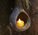 Long Handled Dipper Gourds Lit Autumn Flowers