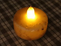 Long Handled Dipper Gourds Lit Autumn Flowers