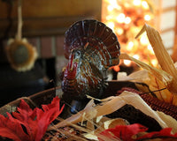 Stoneware Baking Dish Wax Turkey Thanksgiving Gathering