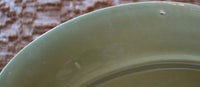 Turkey Plate Festive Gathering