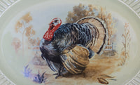 Turkey Plate Festive Gathering
