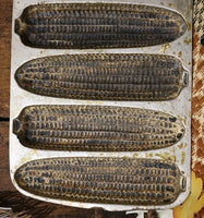 Wagner Corn Mold with Decorative Corn Cobs