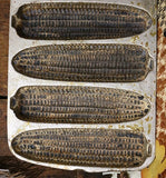 Wagner Corn Mold with Decorative Corn Cobs