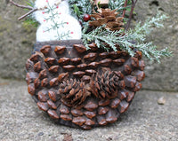 19th Century Woodland Pine Cone and Fabric Wall Pocket