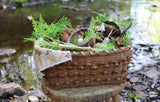 Northeastern Woodland Basket
