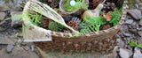 Northeastern Woodland Basket