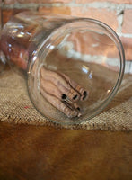 Apothecary Jar 19th Century Slender Form