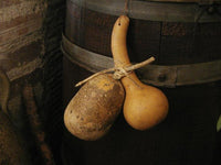 Old Primitive Barrel Gourds String Bean Garland Stoneware Milk Bowl Albany Slip