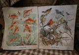 Rabbit Occupied Japan and Childs Cloth Book dated 1939