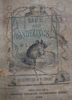 Life and Wanderings of A Mouse Book Cover and Mouse Pen Wipe Cute!