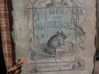 Life and Wanderings of A Mouse Book Cover and Mouse Pen Wipe Cute!