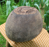 Early Primitive White Ash Burl Bowl