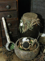 Primitive Gourd Bowl and Dipper Spoon Gathering Great Cabin Look
