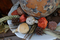Gourd Jar Removable Lid Serving Plate Autumn Gathering