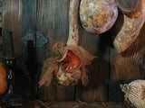 Primitive Gourd Cupboard Hanging with Autumn Flavor