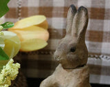 Rabbit Candy Container Composition with Pewter Plate Gathering