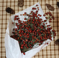 Fresh Rosehip Bunch Perfect for the Holidays