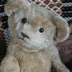 Antique Early Mohair Teddy Bear JointedShoe Button Eye Cutest Face EVER