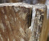 Wall Box Oyster Paint Festive